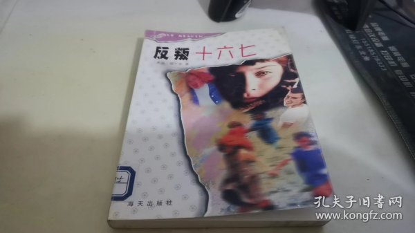 反叛十六七