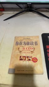 你在为谁读书：一位CEO给青少年的礼物青春励志典藏版成才胜经