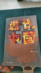 透视中国 第二卷