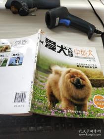 爱犬大联盟：中型犬