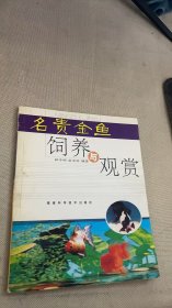 名贵金鱼饲养与观赏