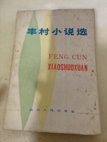 丰村小说选