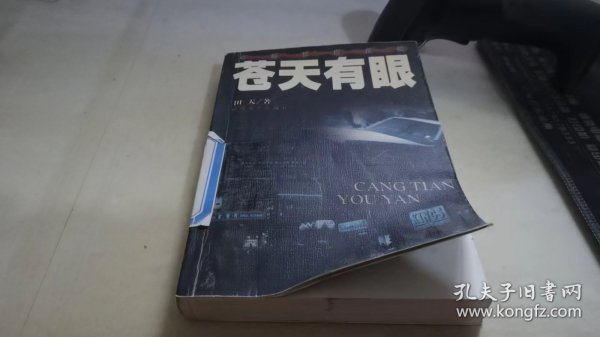 长篇禁毒反黑：苍天有眼（全二册）