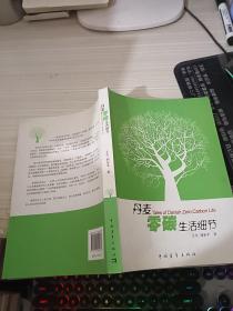 丹麦：零碳生活细节