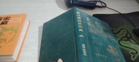 新汉英经济词典