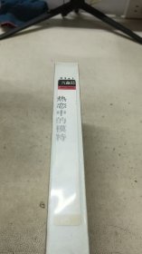 录像带 热恋中的模特