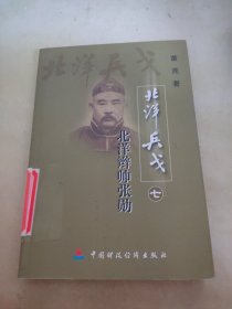 北洋兵戈 七