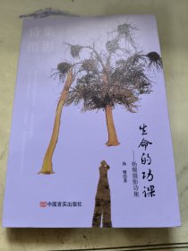 生命的功课——杨珊摄影诗集  杨珊   中国言实出版社