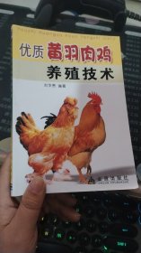 优质黄羽肉鸡养殖技术