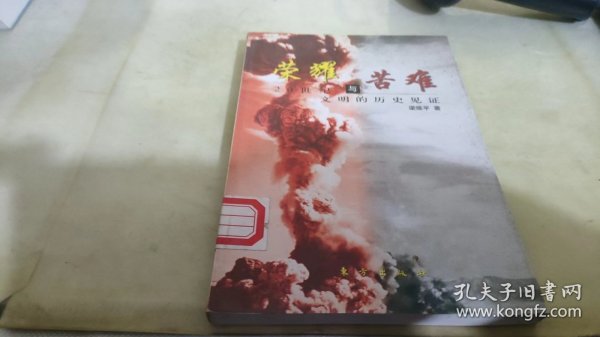 荣耀与苦难(20世纪文明的历史见证)