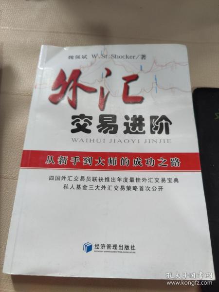 外汇交易进阶：从新手到大师的成功之路