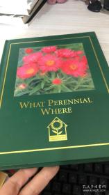 WHATPERENNIALWHERE