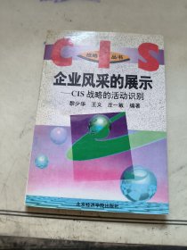 企业风采的展示:CIS战略的活动识别