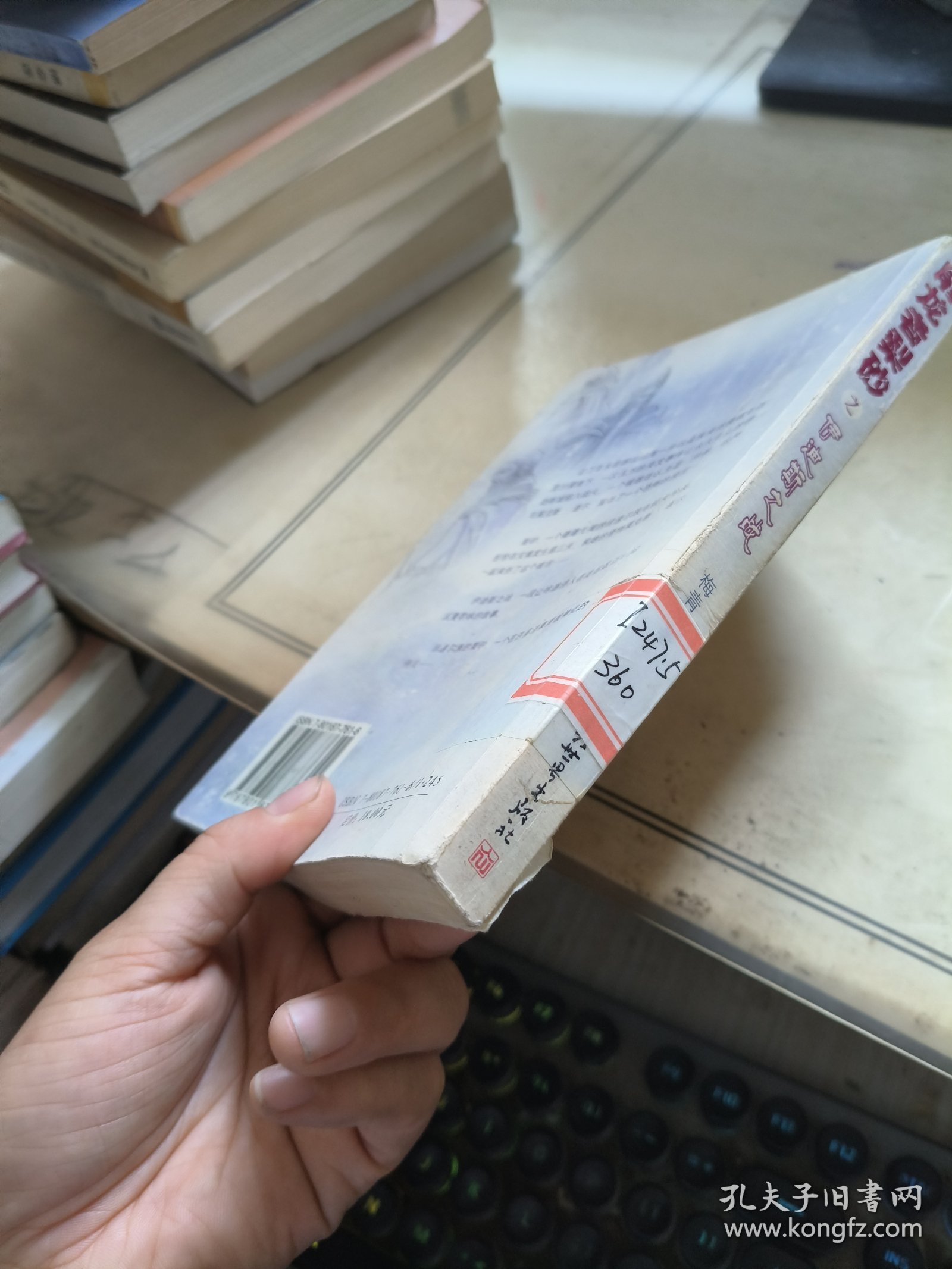 屠龙者梨砂之伊迪斯之战