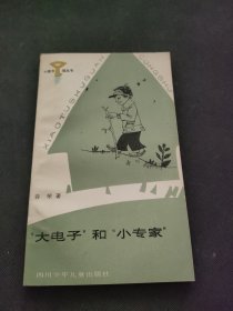 大电子和小专家