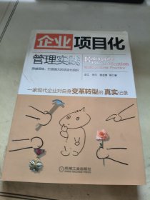 企业项目化管理实践