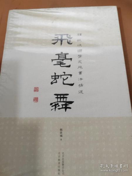 飞毫蛇舞 : 韩铁城国学文苑书法精选