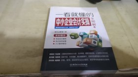 一看就懂的中小企业会计实操全图解