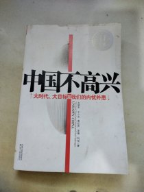 中国不高兴：大时代大目标及我们的内忧外患