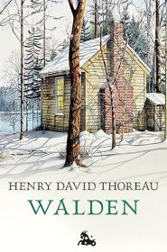 西班牙语原版 Walden 瓦尔登湖 Henry David Thoreau 亨利·戴维·梭罗  Dimensions ‏ : ‎ 4.92 x 0.79 x 7.48 inches