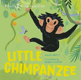 Little Chimpanzee: A Day in the Life of a Baby Chimp 英语英文原版 Dimensions 20.3 x 25.4 x 4.7 cm