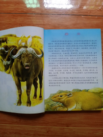 16开精装本《动物大世界》（99年一版一印）