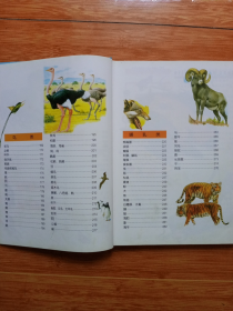 16开精装本《动物大世界》（99年一版一印）