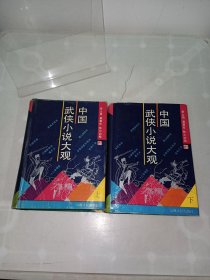 中国武侠小说大观 上下全两册 精装