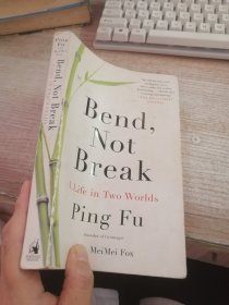 Bend，Not Break ：A Life in Two Worlds