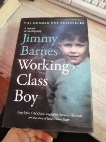 JIMMY BARNES WORKING CLASS BOY