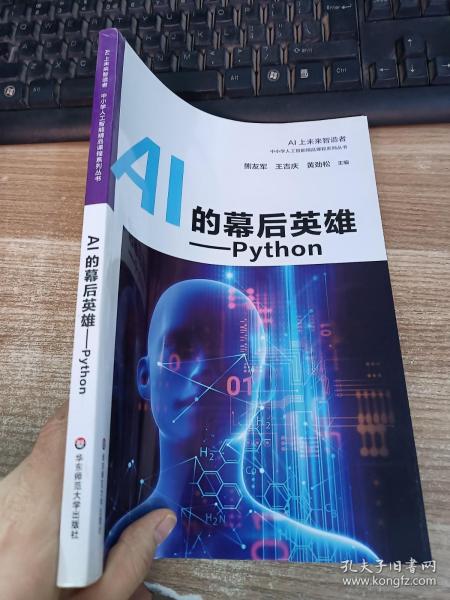 AI的幕后英雄：Python中小学人工智能精品课程系列丛书