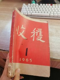 收获 1965 1