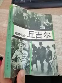 临危受命丘吉尔（书脊有破损具体看图）