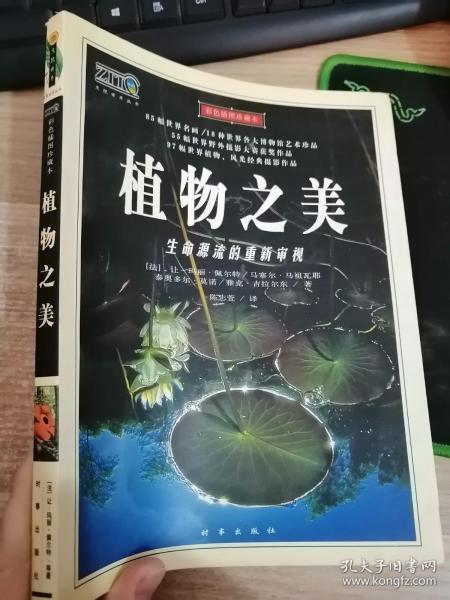 植物之美：生命源流的重新审视