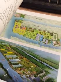 新城镇田园主义 重构城乡中国丛书：为城镇化设计都市农业