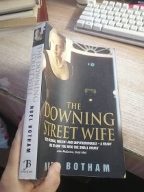 The Downing Street Wife