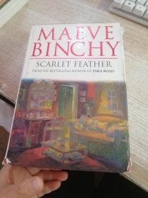 MAEVE BINCHY
