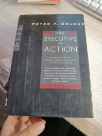 Executive in Action The