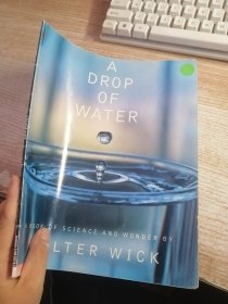 A DROP OF WATER