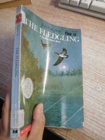 The Fledgling