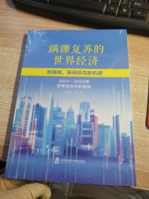 蹒跚复苏的世界经济：新格局、新风险与新机遇——2021-2022年世界经济分析报告（未开封）