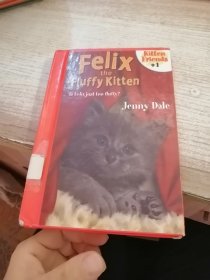FELIX THE FLUFFY KITTEN