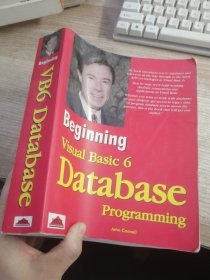 BEGINNING VISUAL BASIC 6 DATABASE