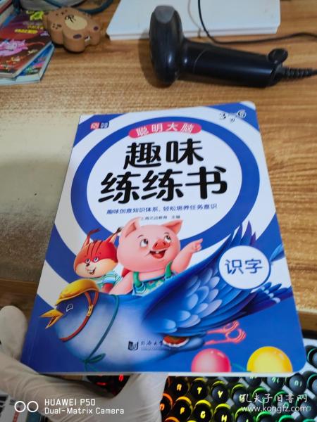 聪明大脑趣味练练书 识字 3-6岁 幼小衔接识字 入学必备 启蒙早教 趣味识字 全彩配图 轻松认知