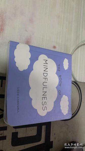 THEBOOKOFMINDFULNESS