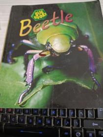 绘本；Beetle