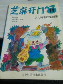 芝麻开门11