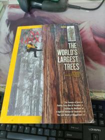 NAT GFOG THE WORLDS LARGEST TREES   2012