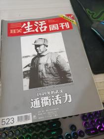 三联生活周刊（2009年第13期）