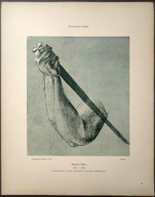 【丢勒】1896年 珂罗版 版画《ARMSTUDIE ZU DEM GEMALDE》 纸张36.5×29厘米